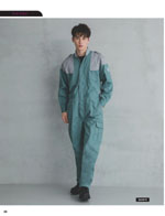 ����ǥ���SD3670���꡼����026�ڡ�����