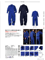 ҥե1171꡼006ڡ