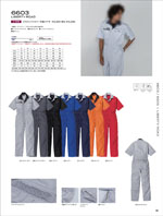 ����ҥե���6603���꡼����051�ڡ�����